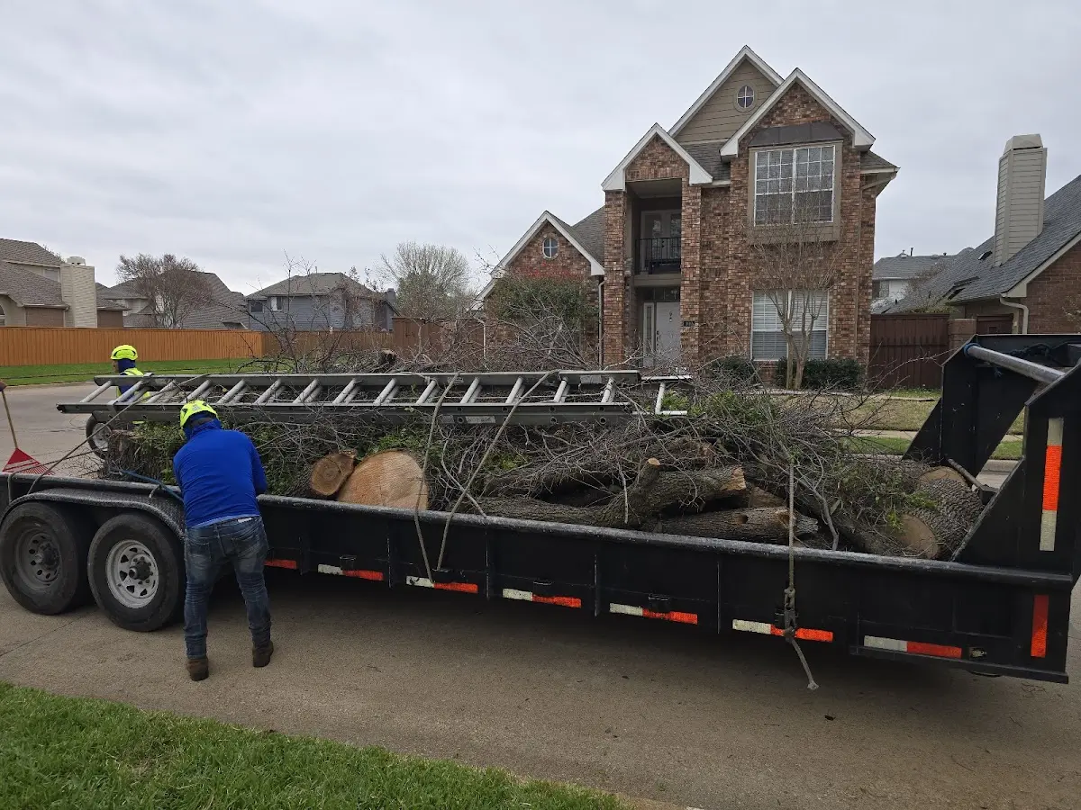Expert Tree Fertilization with proper safety equipment in Steward